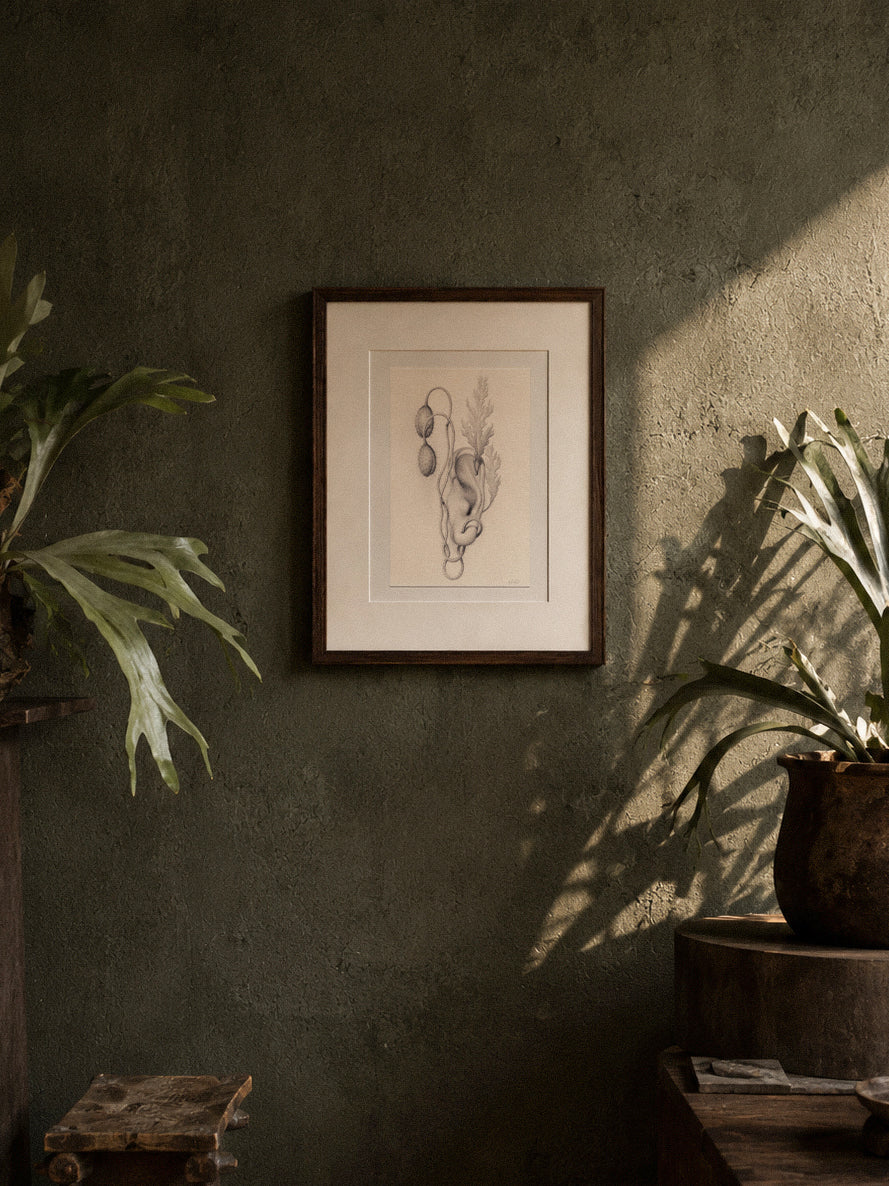 Sprouted Senses No.4