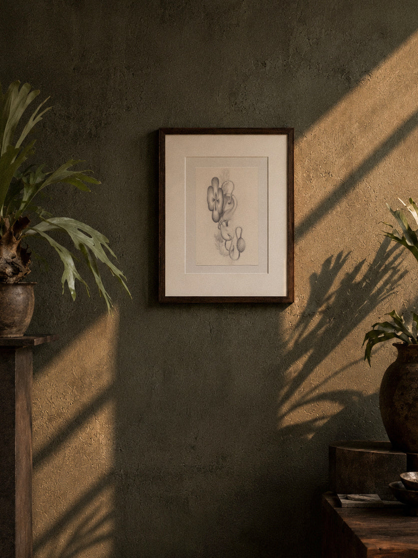 Sprouted Senses No.5