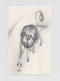 Sprouted Senses No.1