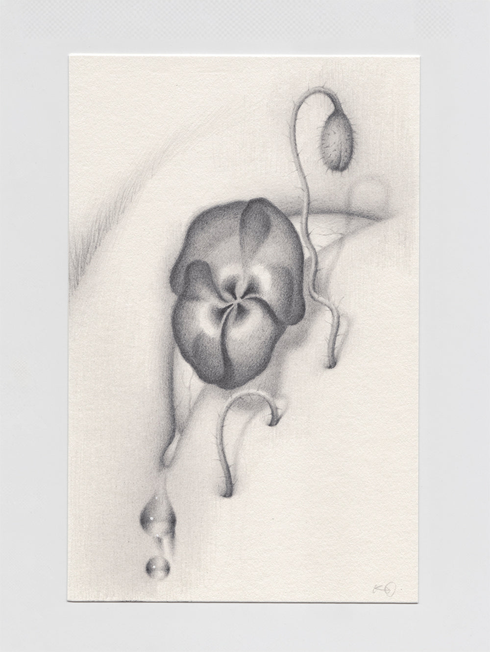 Sprouted Senses No.1