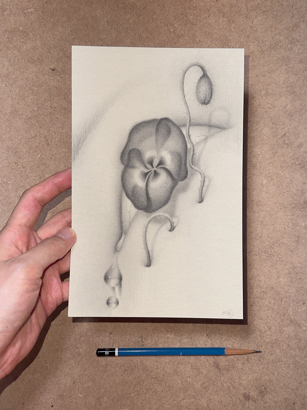 Sprouted Senses No.1