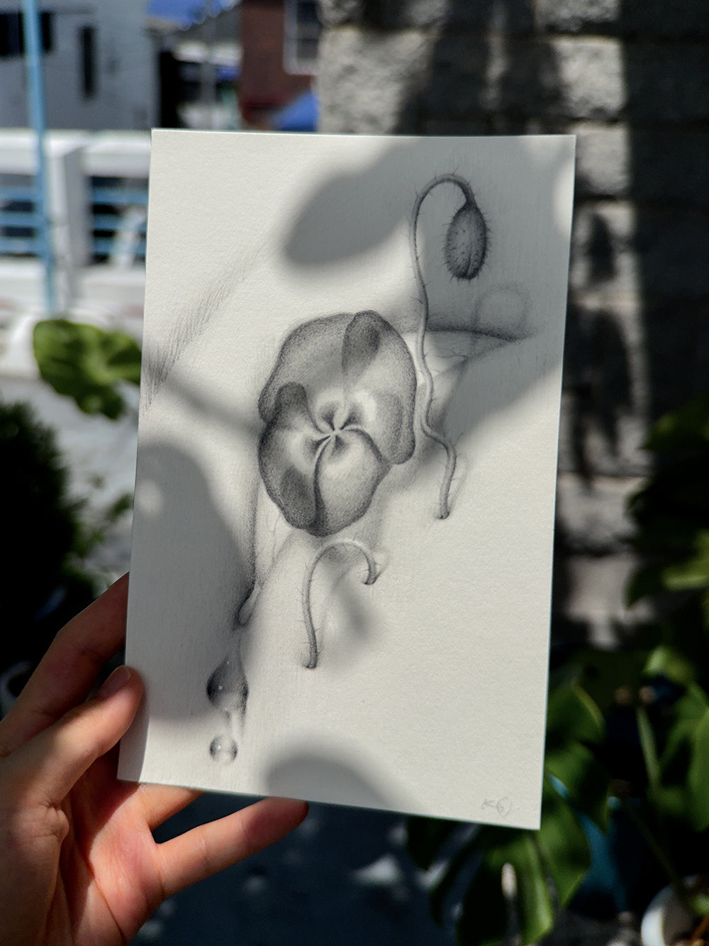 Sprouted Senses No.1