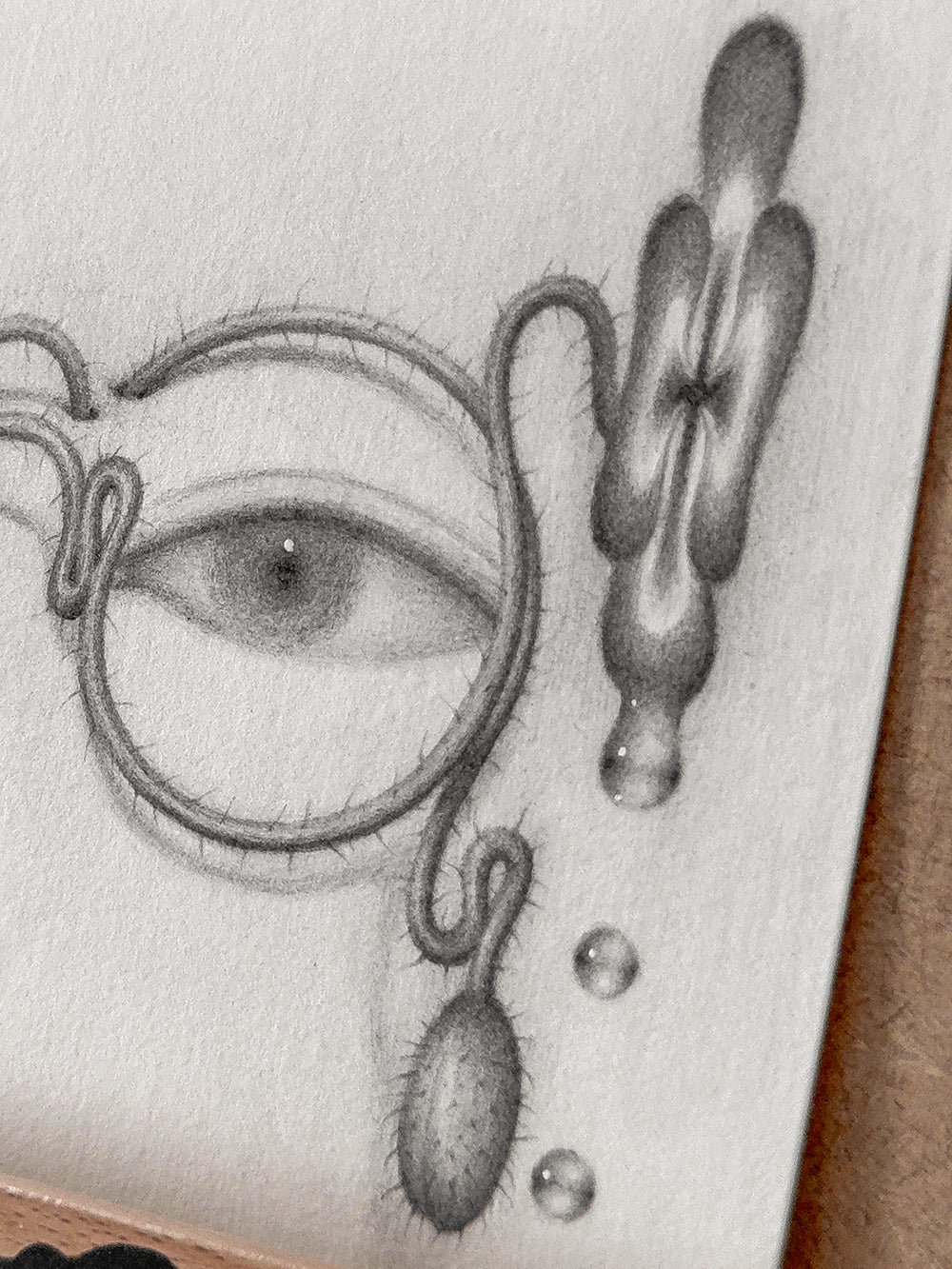 Sprouted Senses No.2