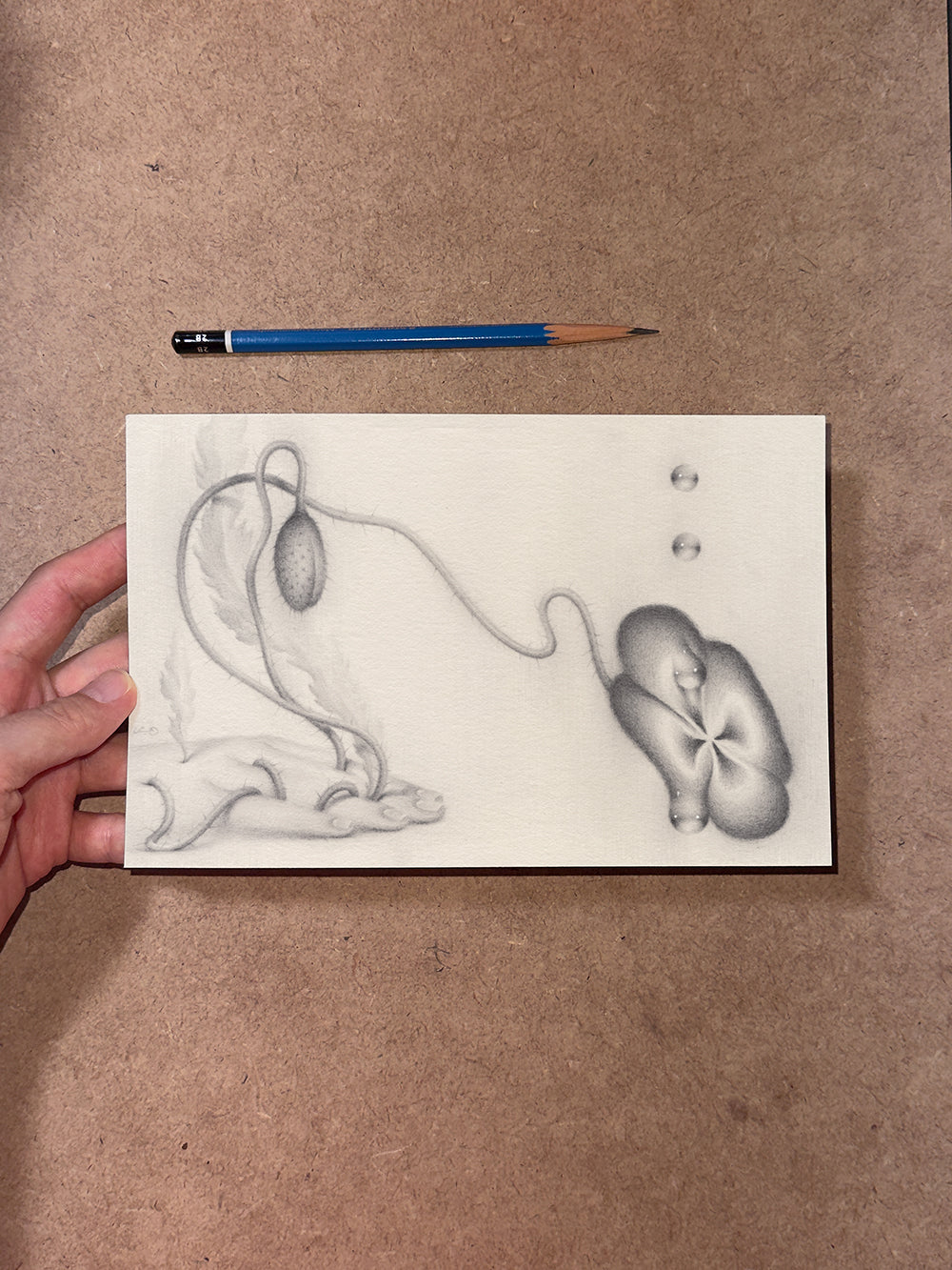 Sprouted Senses No.3