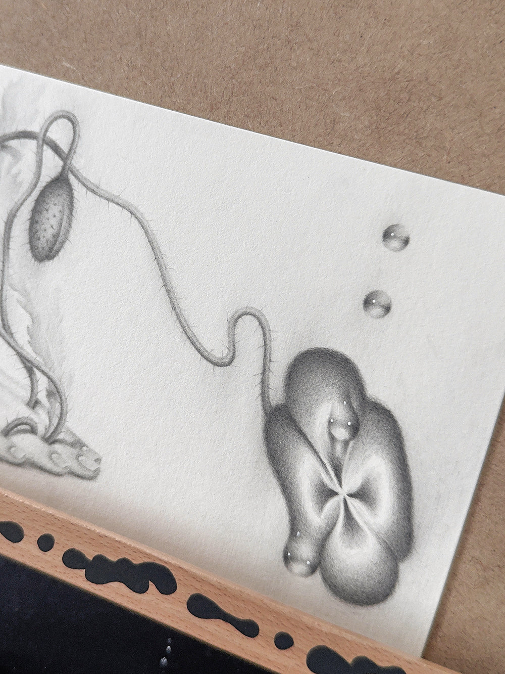 Sprouted Senses No.3