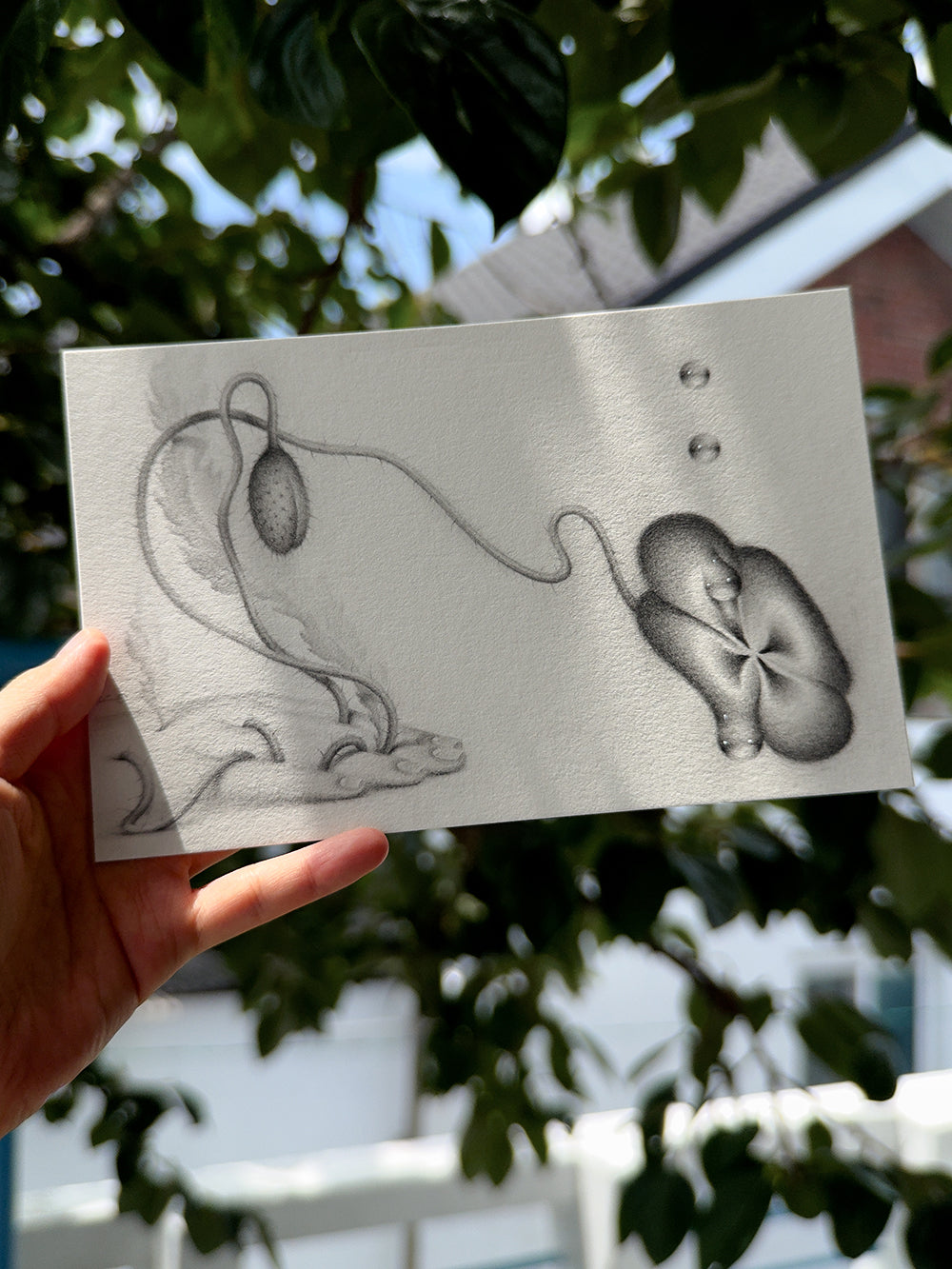 Sprouted Senses No.3
