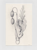 Sprouted Senses No.4