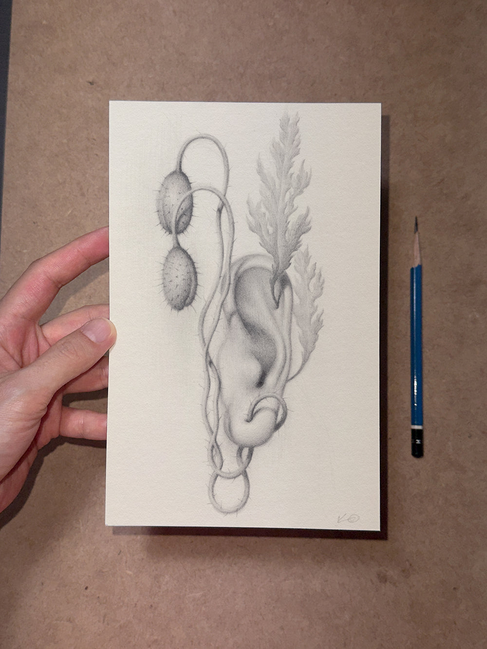 Sprouted Senses No.4