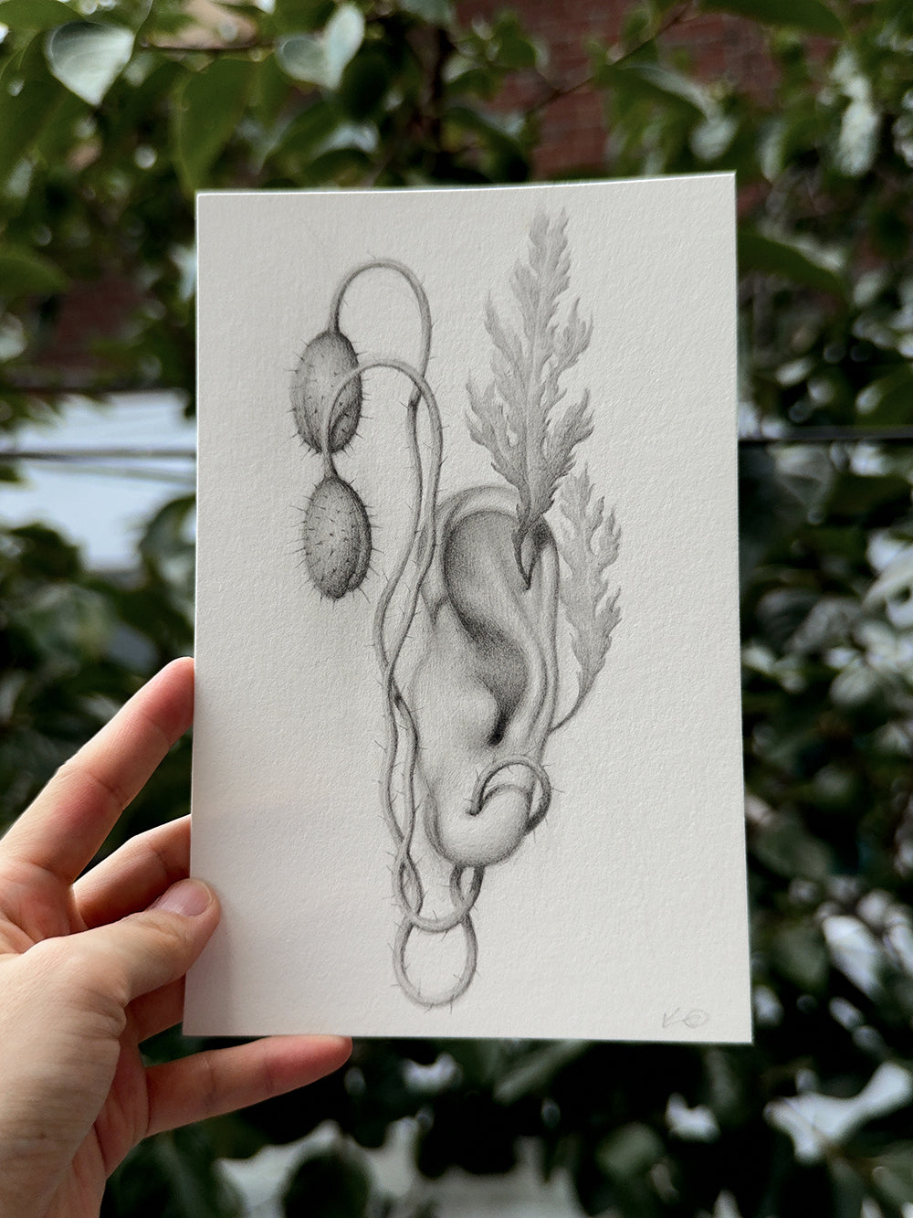 Sprouted Senses No.4