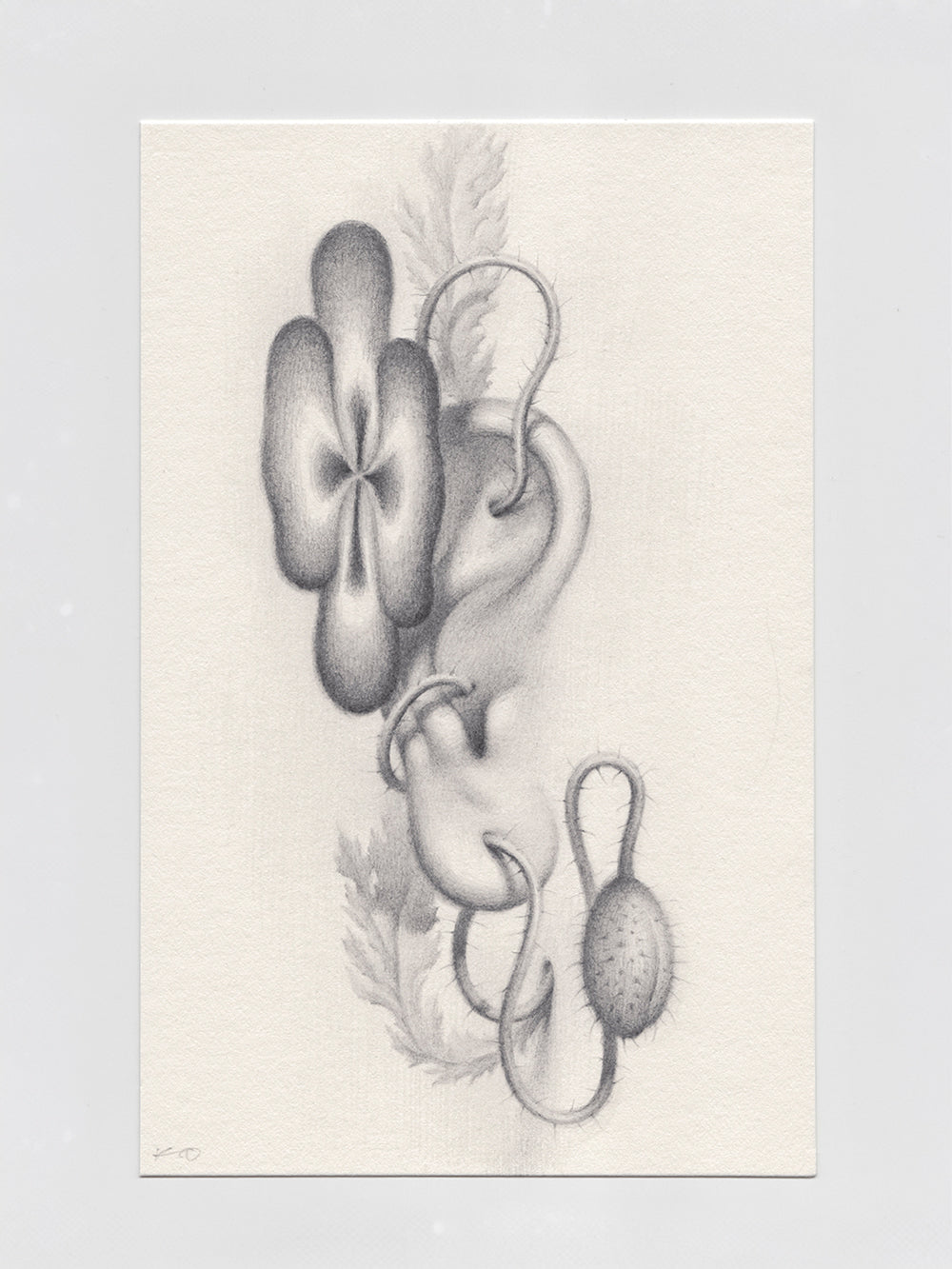 Sprouted Senses No.5