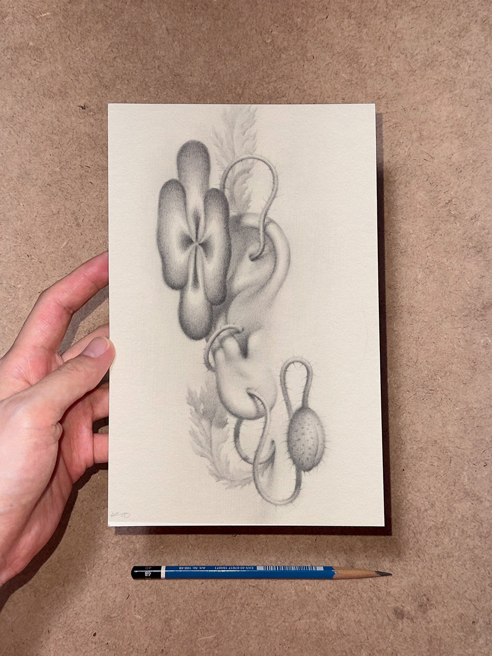 Sprouted Senses No.5