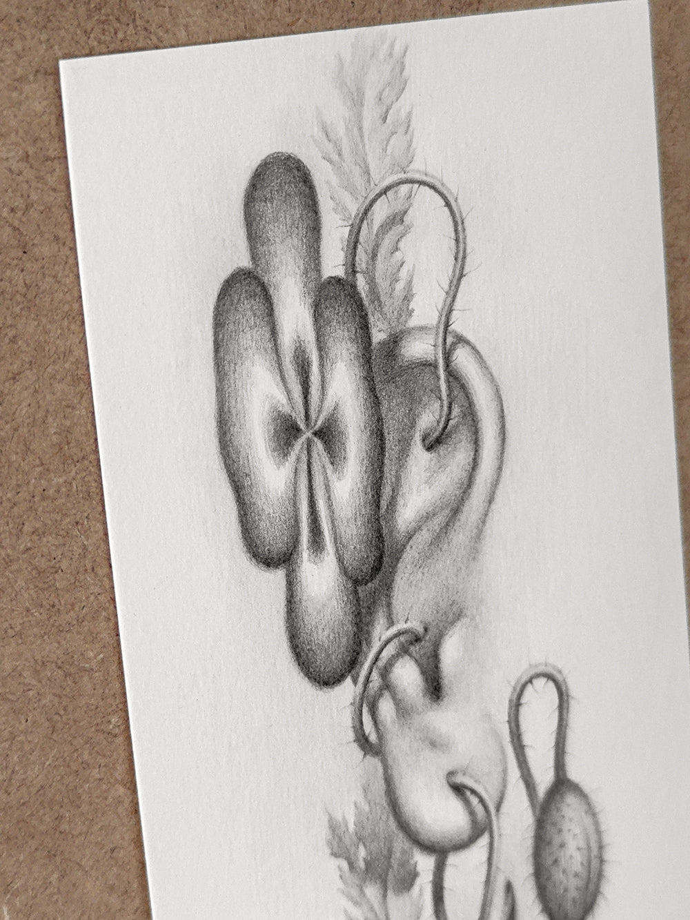 Sprouted Senses No.5