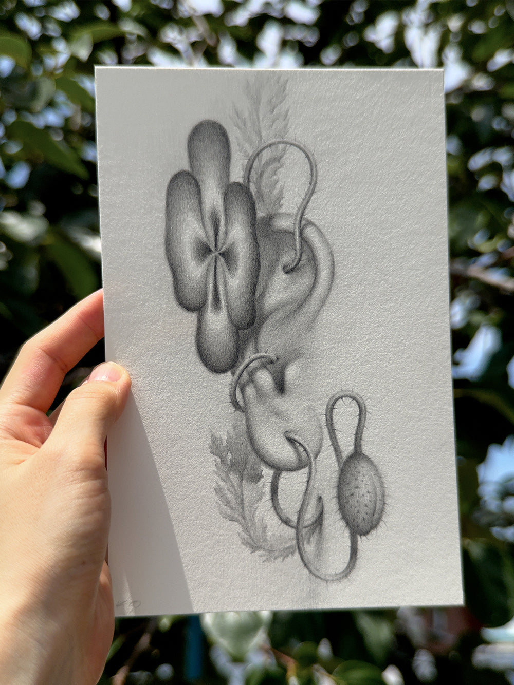 Sprouted Senses No.5